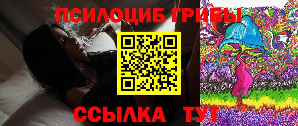 Галлюциногенные грибы Cubensis Белореченск
