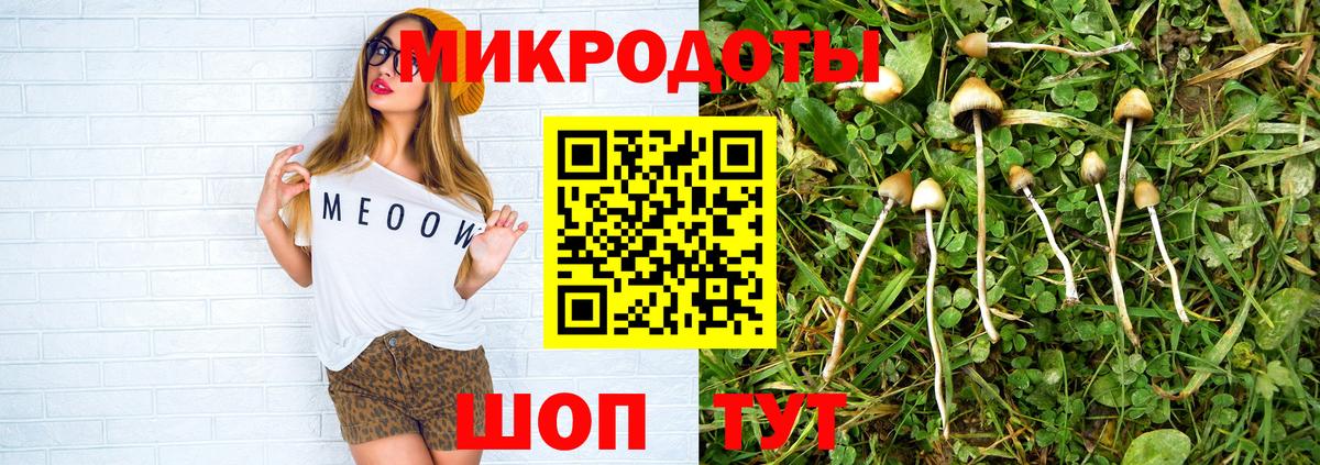 Белореченск  Псилоцибиновые грибы мицелий  Вход с VPN 